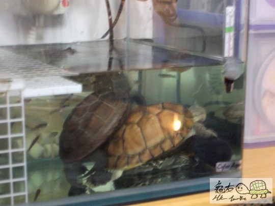 DSCF1412 (1280x960).jpg