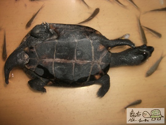 DSCF1670 (1280x960).jpg