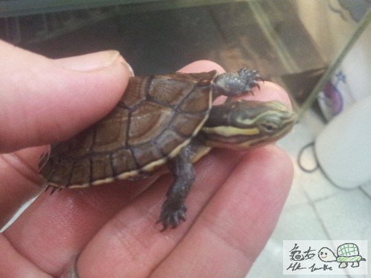 2011-12-04 19.20.39.jpg