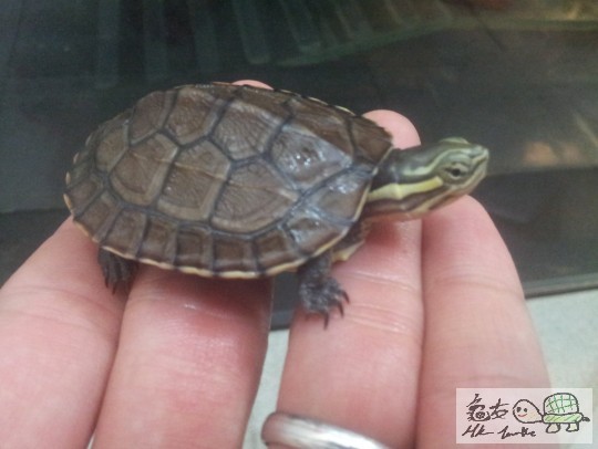 2011-12-04 19.26.46.jpg