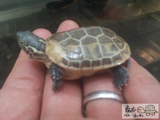 2011-12-04 19.32.12.jpg