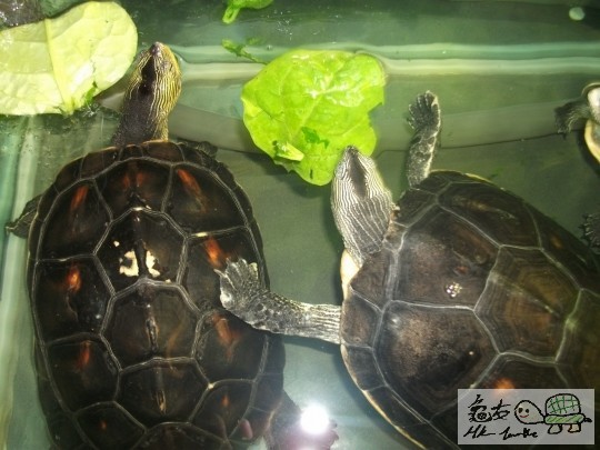 DSCF1717 (1280x960).jpg