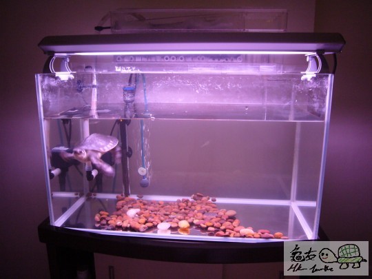 24(W)x12(D)x14.5(H)吋魚缸