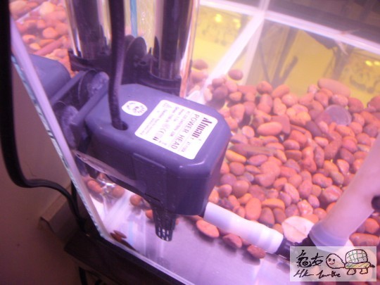 Atnan AT-1100A 濾水 潛水pump