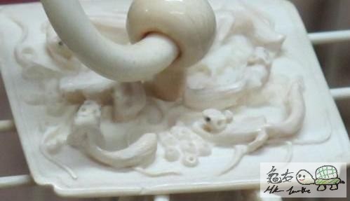 象牙籠....jpg