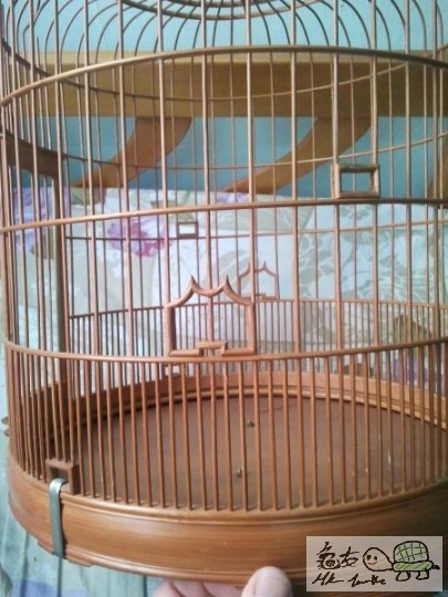 2012-03-27 17.58.14.jpg