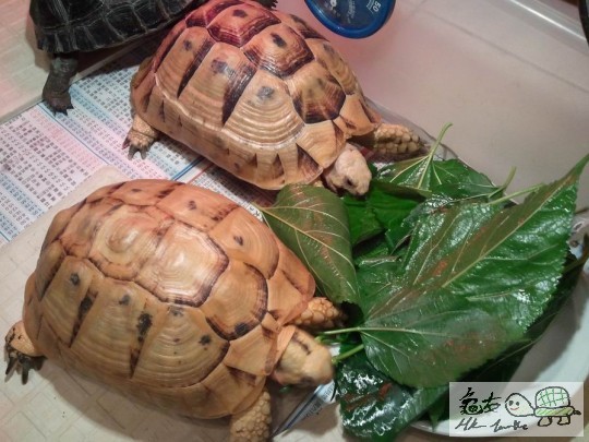 調整大小2012-03-10 21.15.29.jpg