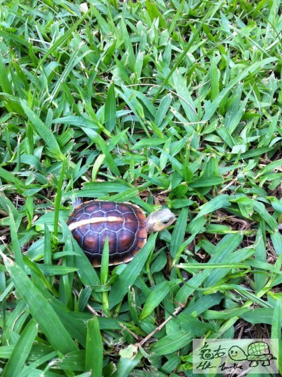 8 (3)_調整大小.JPG