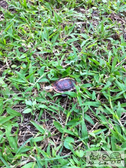 8 (4)_調整大小.JPG