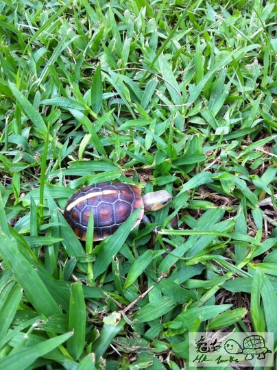 8 (5)_調整大小.JPG