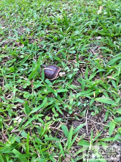 8 (6)_調整大小.JPG