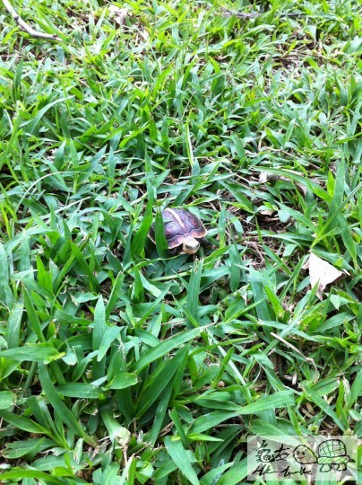 8 (7)_調整大小.JPG