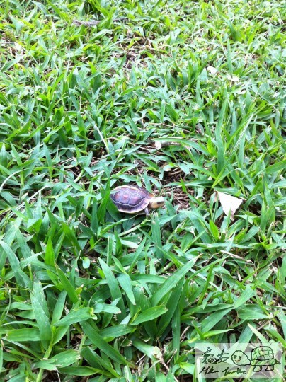 8 (8)_調整大小.JPG