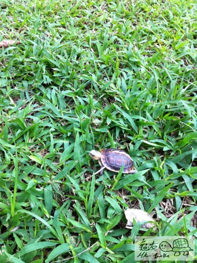 8 (9)_調整大小.JPG