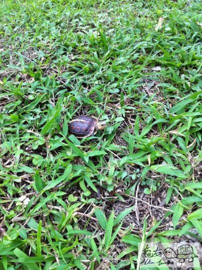 8 (11)_調整大小.JPG