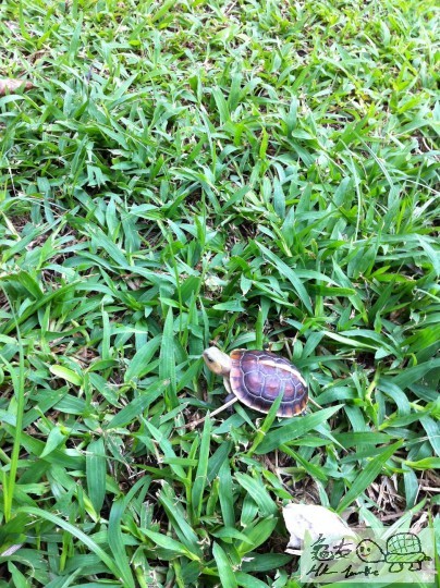 8 (13)_調整大小.JPG