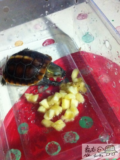 b (1)_調整大小.JPG