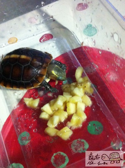 b (2)_調整大小.JPG