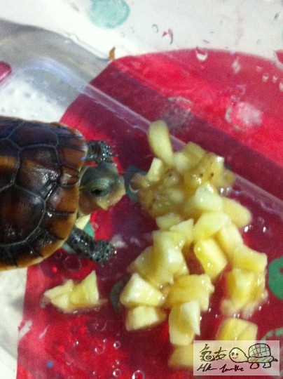 b (3)_調整大小.JPG