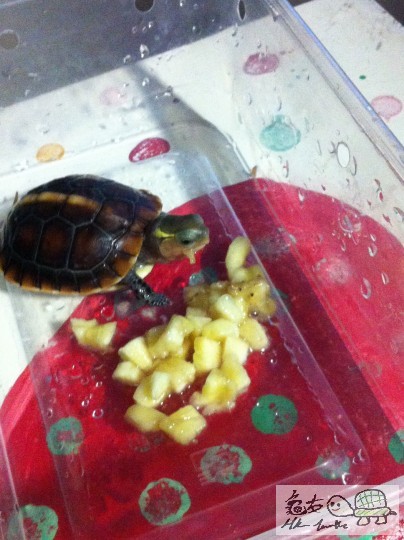 b (4)_調整大小.JPG