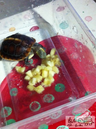 b (5)_調整大小.JPG