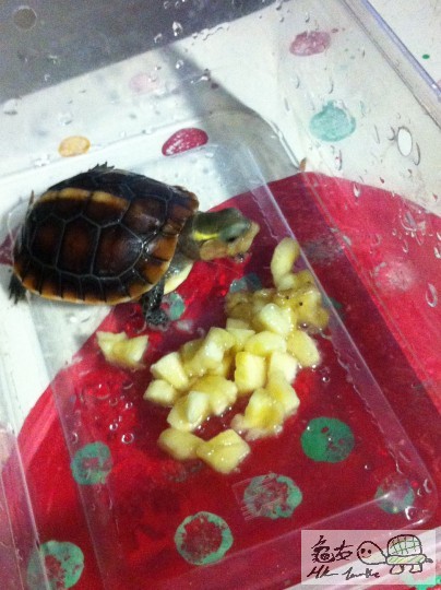 b (6)_調整大小.JPG