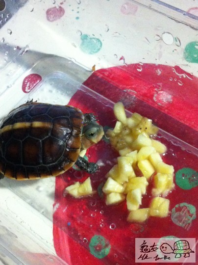 b (7)_調整大小.JPG