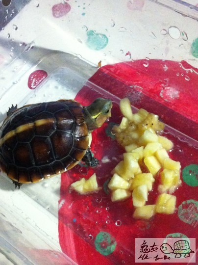 b (8)_調整大小.JPG