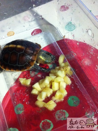 b (9)_調整大小.JPG