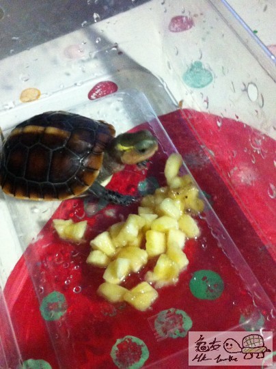 b (11)_調整大小.JPG