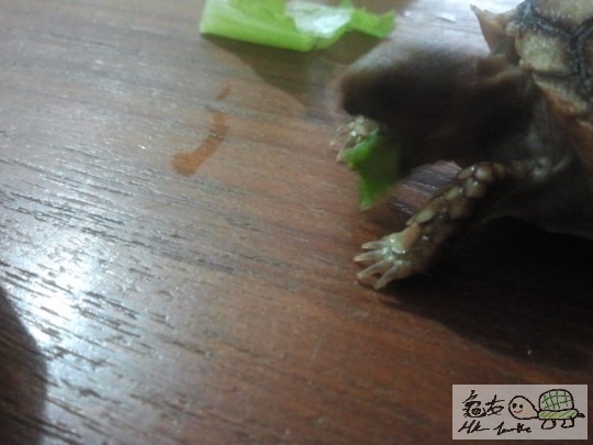 2012-04-05 16.46.31.jpg