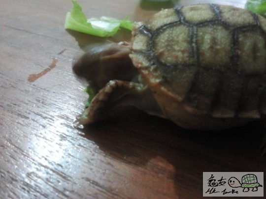 2012-04-05 16.46.52.jpg