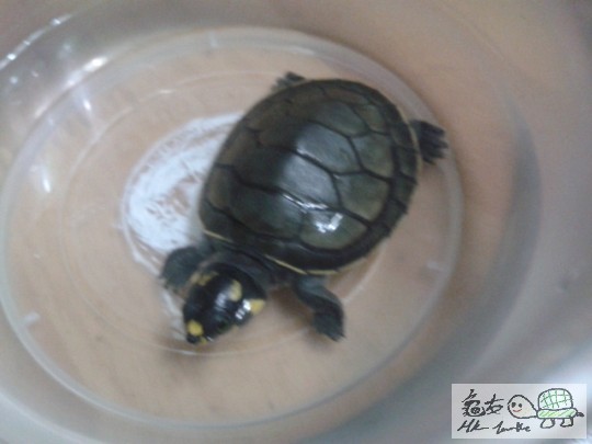 2012-04-17 00.22.24.jpg