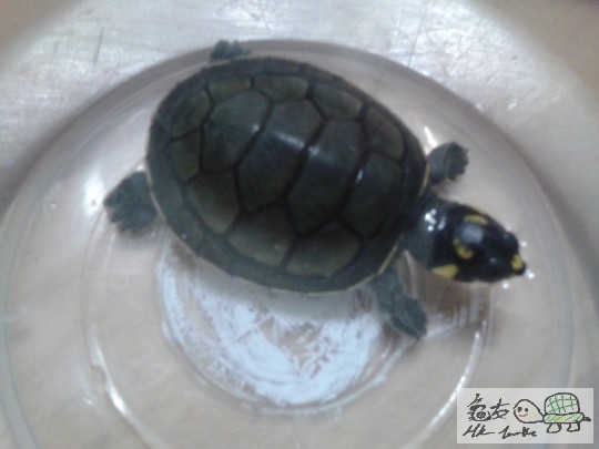 2012-04-17 00.22.31.jpg