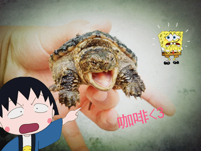 2011-04-22 11.22.59_副本.gif