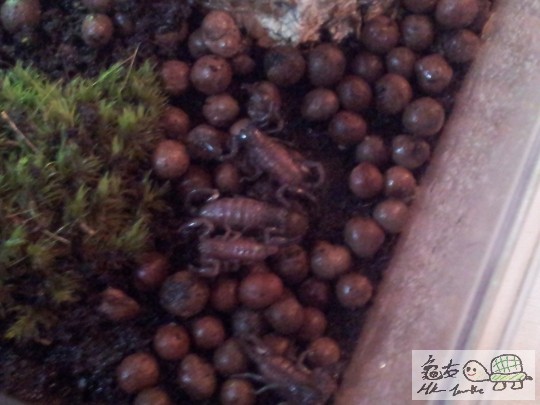 2012-04-23 18.29.50.jpg