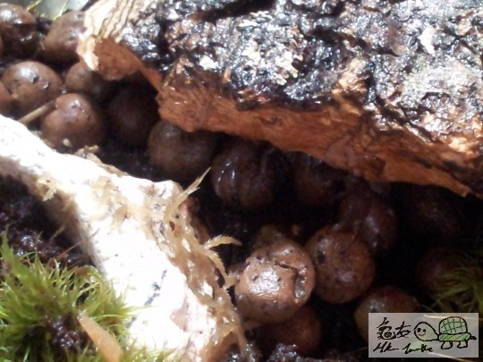 2012-04-23 18.32.04.jpg