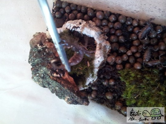 2012-04-23 18.30.26.jpg