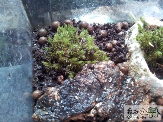 2012-04-23 18.31.07.jpg