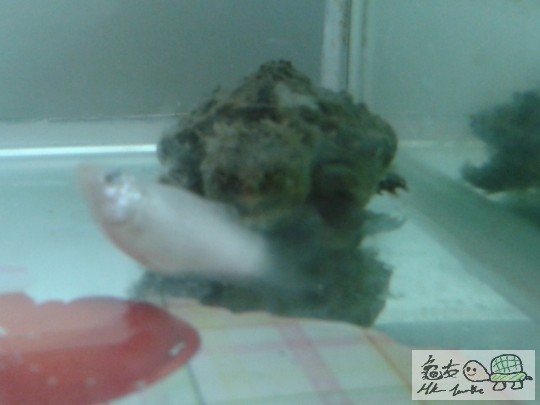 2012-04-25 09.29.39.jpg