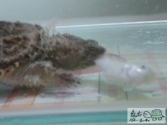 2012-04-25 09.31.18.jpg