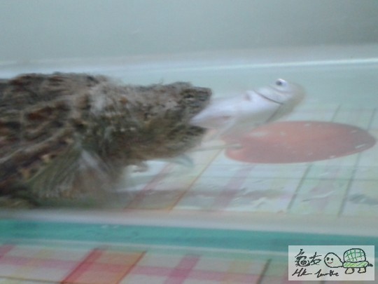 2012-04-25 09.31.26.jpg