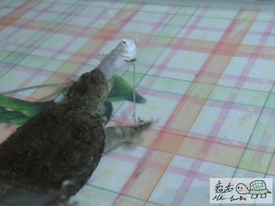 2012-04-25 09.32.40.jpg