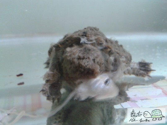 2012-04-25 09.33.30.jpg