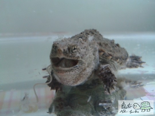 2012-04-25 09.33.36.jpg