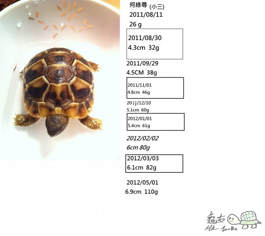 Photo 11-8-11 20 00 58.jpeg