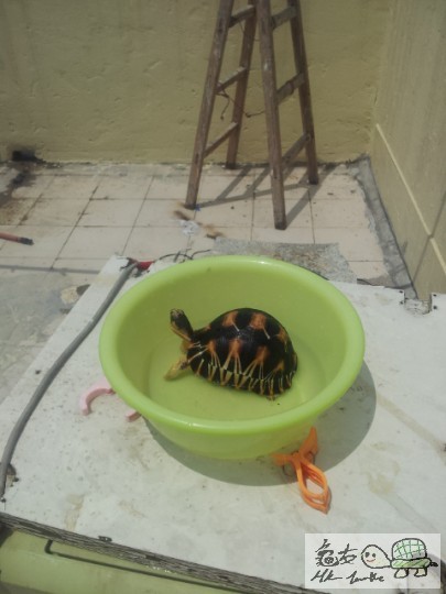 2012-05-15 13.38.49.jpg