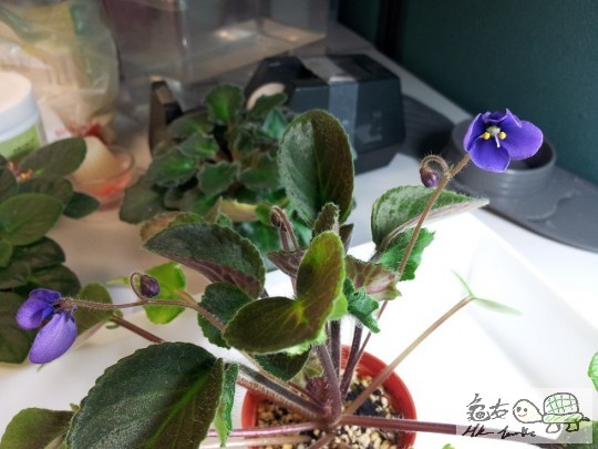 20120413_081924.jpg