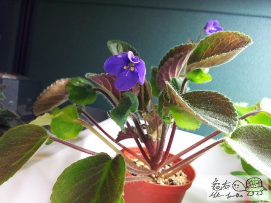 20120413_082048.jpg
