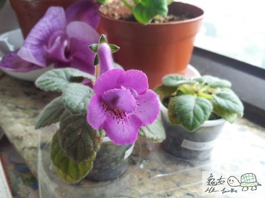20120421_091010.jpg